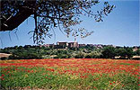 pienza